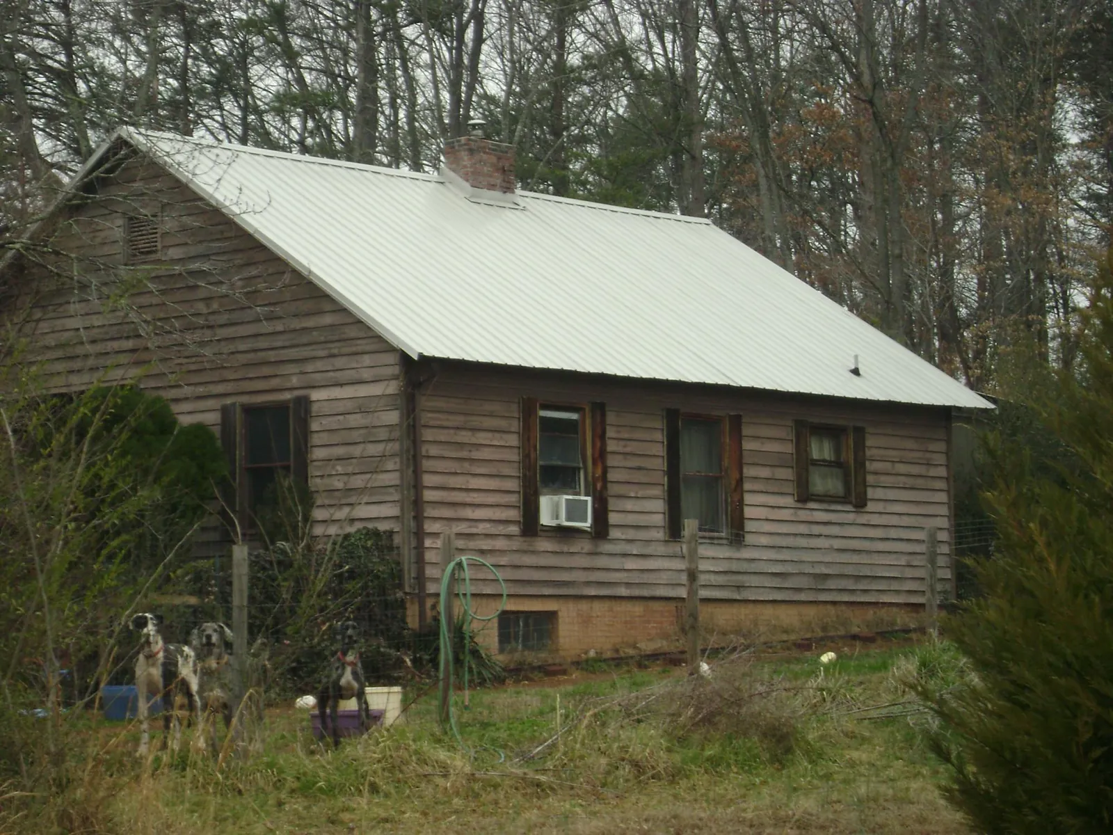 White metal roof on an old wood sided farmhouse, from a Asphalt Shingle Roof Repair job in Deary